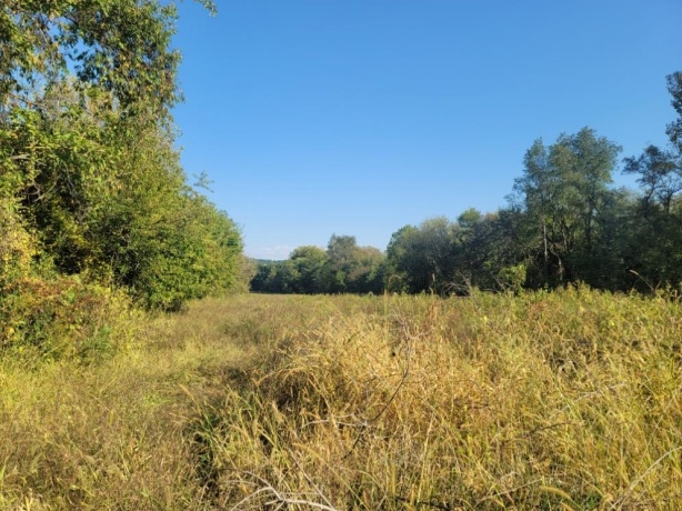 10113 Crazy Hollow, HANOVER, Illinois 61041, ,Land,For Sale,Crazy Hollow,202506163