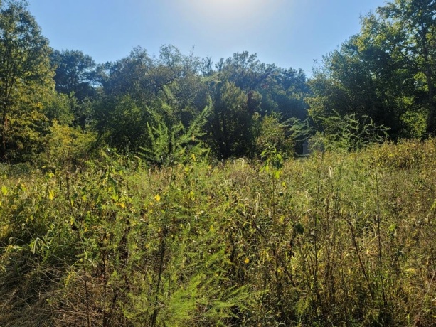 10113 Crazy Hollow, HANOVER, Illinois 61041, ,Land,For Sale,Crazy Hollow,202506163