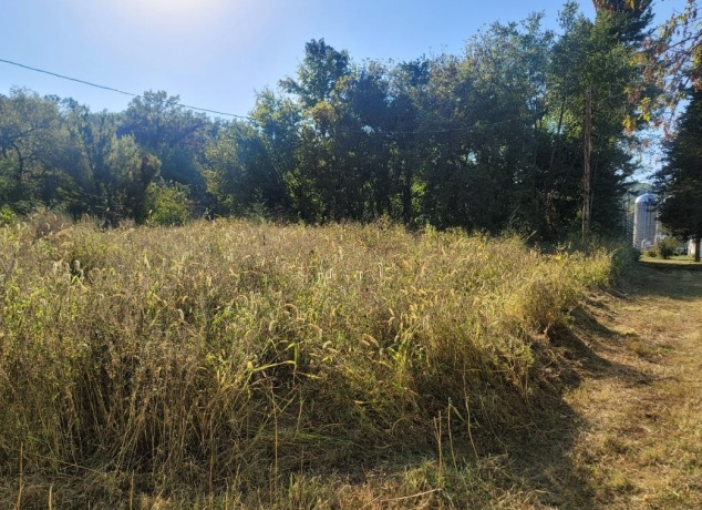 10113 Crazy Hollow, HANOVER, Illinois 61041, ,Land,For Sale,Crazy Hollow,202506163