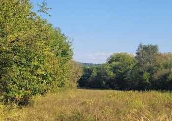 10113 Crazy Hollow, HANOVER, Illinois 61041, ,Land,For Sale,Crazy Hollow,202506163