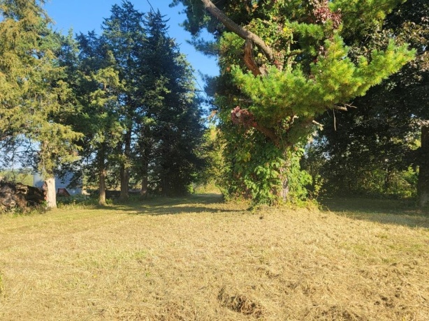 10113 Crazy Hollow, HANOVER, Illinois 61041, ,Land,For Sale,Crazy Hollow,202506163