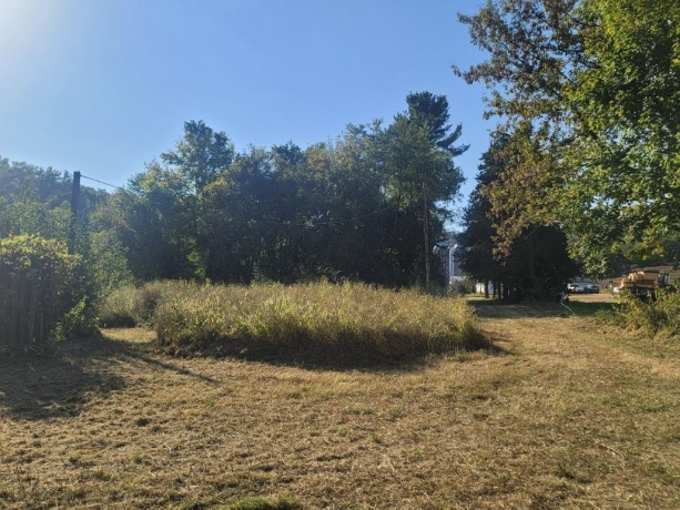 10113 Crazy Hollow, HANOVER, Illinois 61041, ,Land,For Sale,Crazy Hollow,202506163