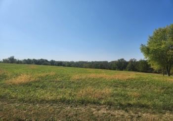 18-17 Lake Carroll, LAKE CARROLL, Illinois 61046, ,Land,For Sale,Lake Carroll,202506165