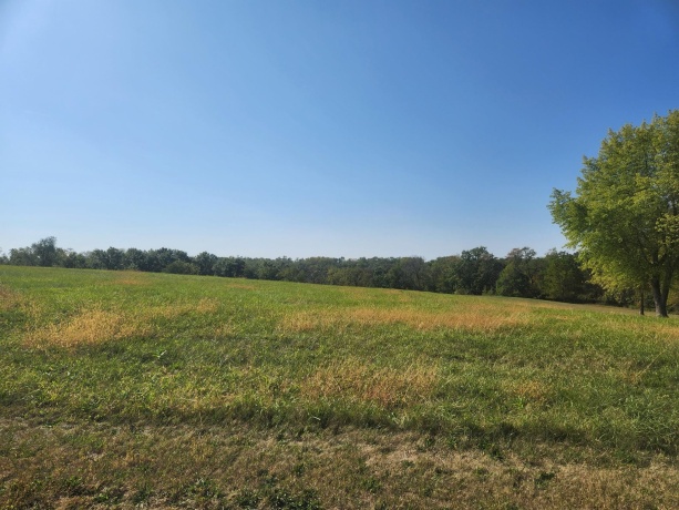 18-17 Lake Carroll, LAKE CARROLL, Illinois 61046, ,Land,For Sale,Lake Carroll,202506165