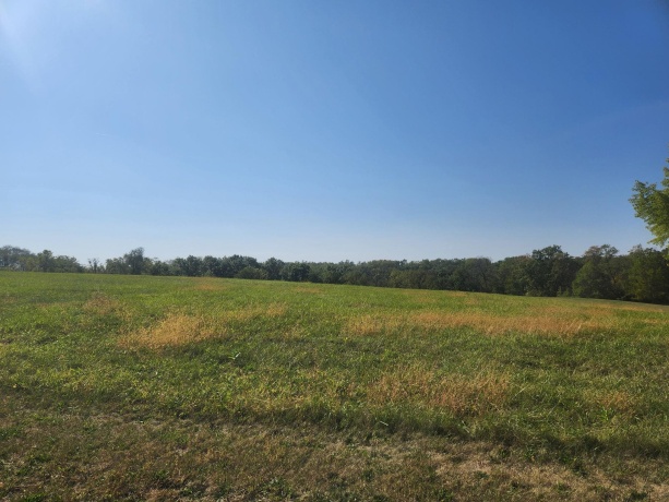 18-17 Lake Carroll, LAKE CARROLL, Illinois 61046, ,Land,For Sale,Lake Carroll,202506165
