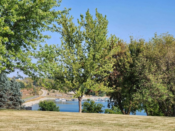 18-17 Lake Carroll, LAKE CARROLL, Illinois 61046, ,Land,For Sale,Lake Carroll,202506165