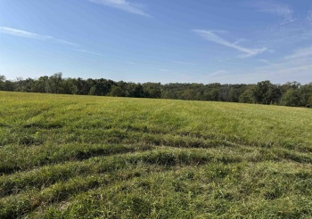 18-16 Lake Carroll, LAKE CARROLL, Illinois 61046, ,Land,For Sale,Lake Carroll,202506166