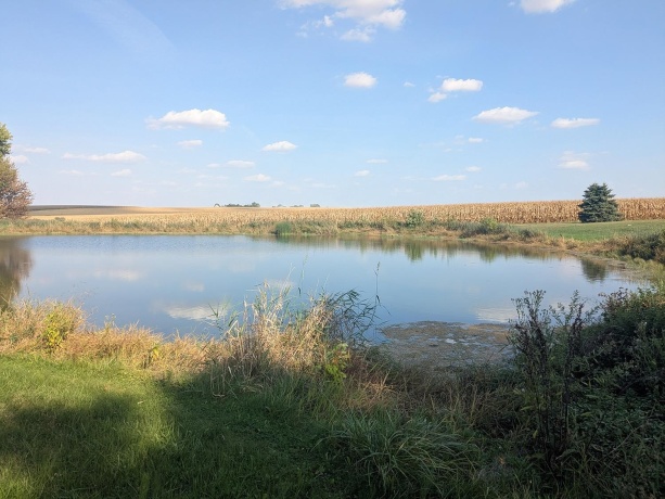 31457 Straw School, SHANNON, Illinois 61078, 3 Bedrooms Bedrooms, ,2 BathroomsBathrooms,House,For Sale,Straw School,202506174