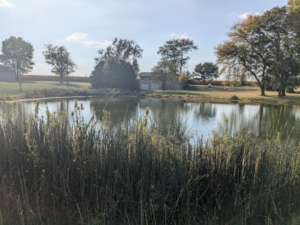 31457 Straw School, SHANNON, Illinois 61078, 3 Bedrooms Bedrooms, ,2 BathroomsBathrooms,House,For Sale,Straw School,202506174