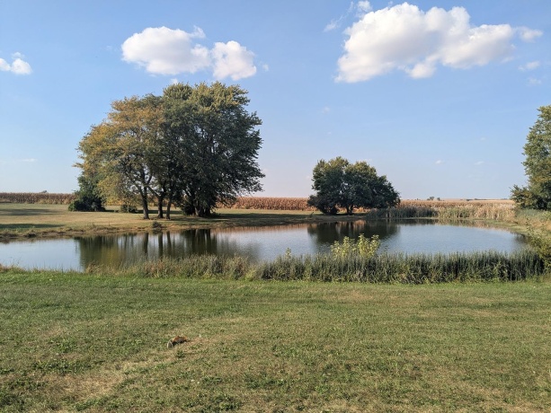 31457 Straw School, SHANNON, Illinois 61078, 3 Bedrooms Bedrooms, ,2 BathroomsBathrooms,House,For Sale,Straw School,202506174