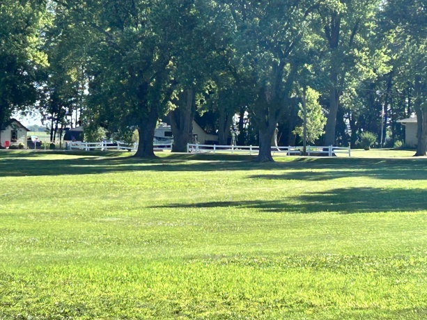 404 Willow St., FORRESTON, Illinois 61030, ,Land,For Sale,Willow St.,202506182