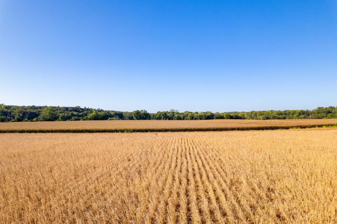 0 IL Rt. 2, OREGON, Illinois 61061, ,Land,For Sale,IL Rt. 2,202506208