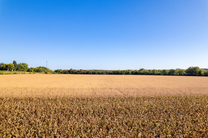 0 IL Rt. 2, OREGON, Illinois 61061, ,Land,For Sale,IL Rt. 2,202506208