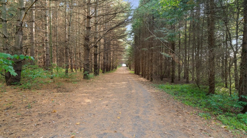 5810 Lightsville, LEAF RIVER, Illinois 61047, 3 Bedrooms Bedrooms, ,3 BathroomsBathrooms,House,For Sale,Lightsville,202506231