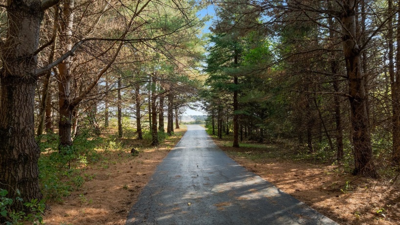 5810 Lightsville, LEAF RIVER, Illinois 61047, 3 Bedrooms Bedrooms, ,3 BathroomsBathrooms,House,For Sale,Lightsville,202506231