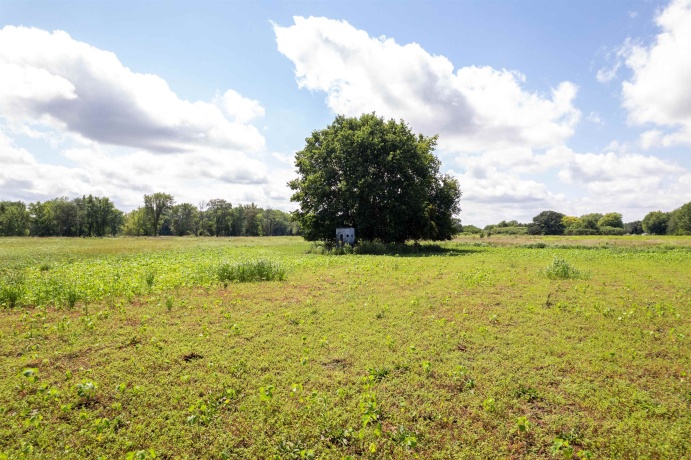 0 Banks, ERIE, Illinois 61250, ,Land,For Sale,Banks,202506237