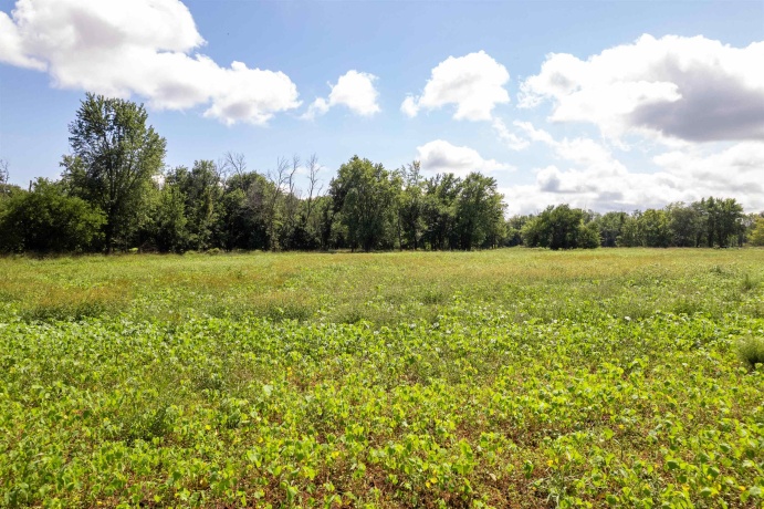 0 Banks, ERIE, Illinois 61250, ,Land,For Sale,Banks,202506237