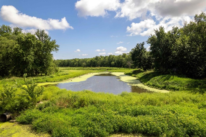 0 Banks, ERIE, Illinois 61250, ,Land,For Sale,Banks,202506237