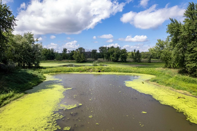 0 Banks, ERIE, Illinois 61250, ,Land,For Sale,Banks,202506237