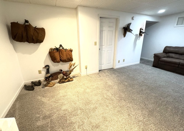 26-58 Blackwod, LAKE CARROLL, Illinois 61046, 4 Bedrooms Bedrooms, ,3 BathroomsBathrooms,House,For Sale,Blackwod,202506267