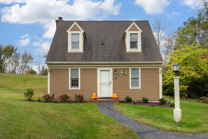 21 Thatcher, GALENA, Illinois 61036, 2 Bedrooms Bedrooms, ,2 BathroomsBathrooms,Condominium,For Sale,Thatcher,202506296