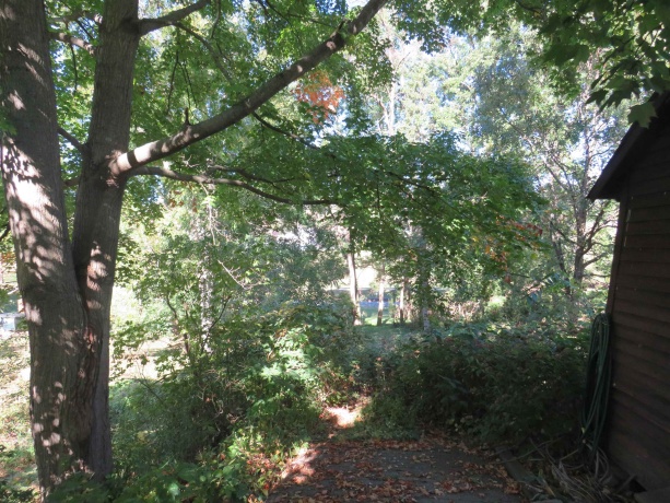 515 Park, GALENA, Illinois 61036, 4 Bedrooms Bedrooms, ,2 BathroomsBathrooms,House,For Sale,Park,202506299