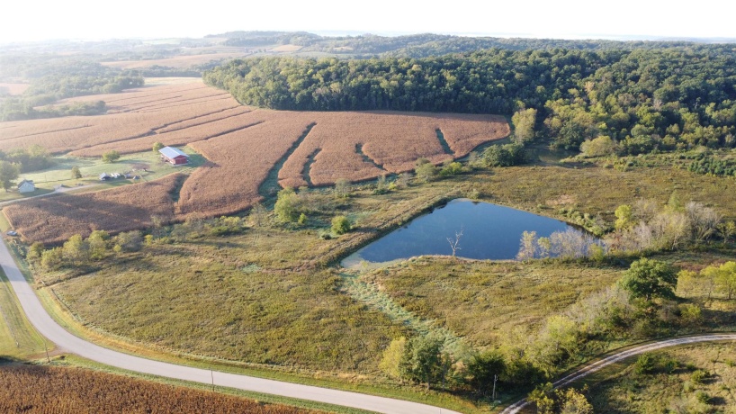 57.83 Acres Menzemer, ELIZABETH, Illinois 61028, ,Land,For Sale,Menzemer,202506330