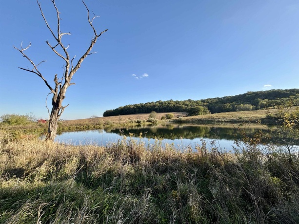 57.83 Acres Menzemer, ELIZABETH, Illinois 61028, ,Land,For Sale,Menzemer,202506330