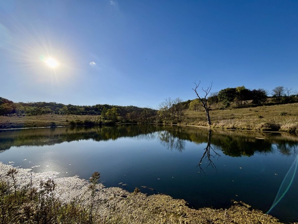 57.83 Acres Menzemer, ELIZABETH, Illinois 61028, ,Land,For Sale,Menzemer,202506330