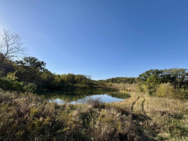 57.83 Acres Menzemer, ELIZABETH, Illinois 61028, ,Land,For Sale,Menzemer,202506330