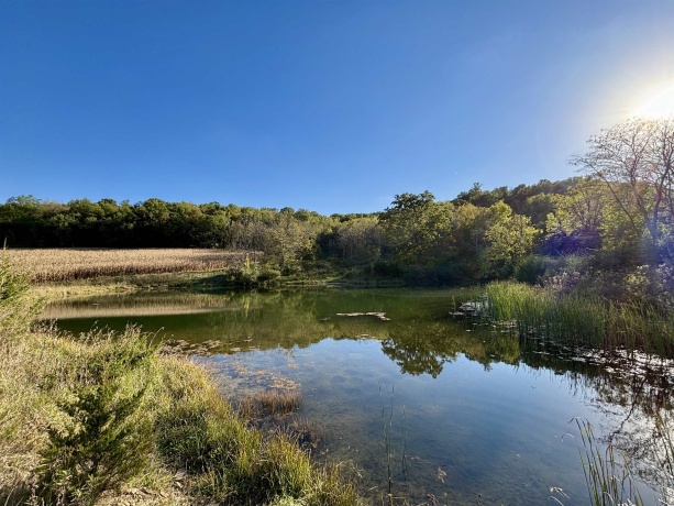 57.83 Acres Menzemer, ELIZABETH, Illinois 61028, ,Land,For Sale,Menzemer,202506330