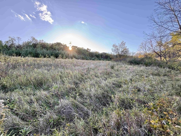 57.83 Acres Menzemer, ELIZABETH, Illinois 61028, ,Land,For Sale,Menzemer,202506330