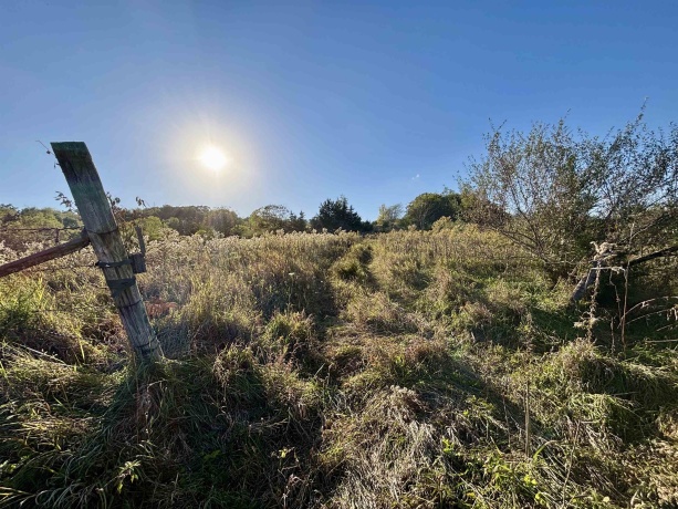 57.83 Acres Menzemer, ELIZABETH, Illinois 61028, ,Land,For Sale,Menzemer,202506330