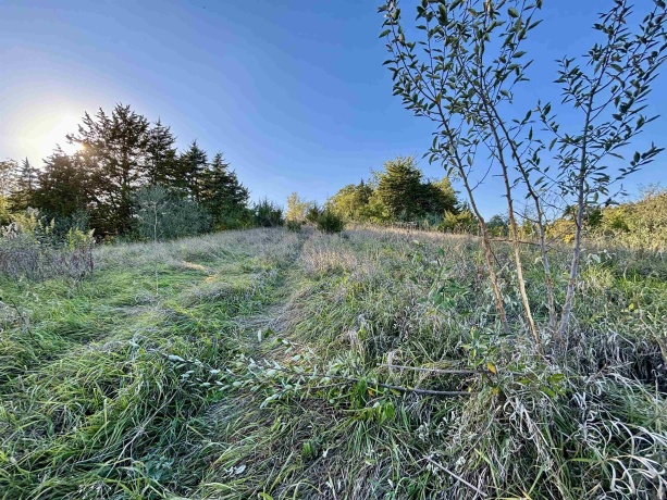 57.83 Acres Menzemer, ELIZABETH, Illinois 61028, ,Land,For Sale,Menzemer,202506330