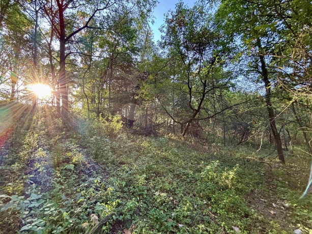 57.83 Acres Menzemer, ELIZABETH, Illinois 61028, ,Land,For Sale,Menzemer,202506330