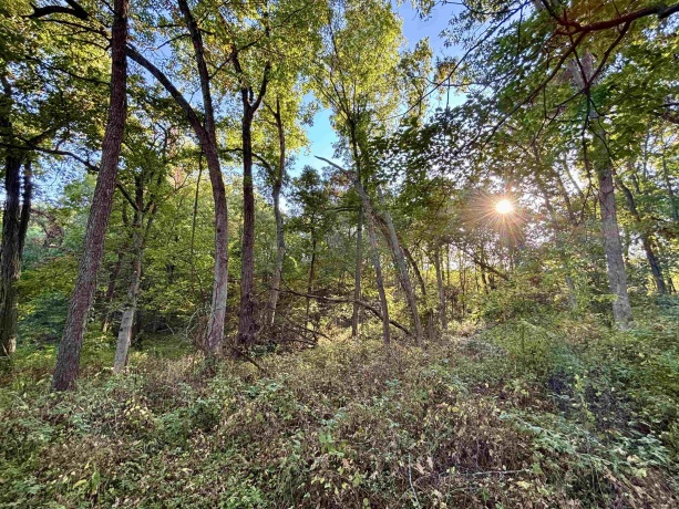 57.83 Acres Menzemer, ELIZABETH, Illinois 61028, ,Land,For Sale,Menzemer,202506330