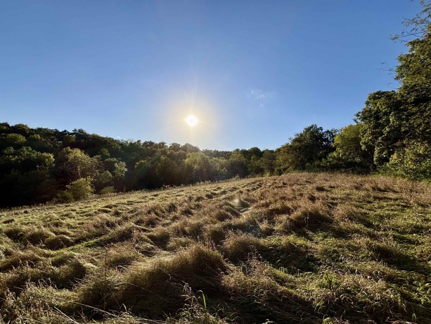 57.83 Acres Menzemer, ELIZABETH, Illinois 61028, ,Land,For Sale,Menzemer,202506330