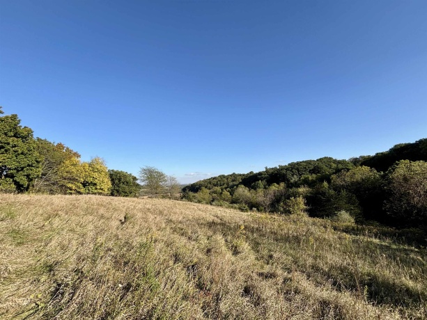 57.83 Acres Menzemer, ELIZABETH, Illinois 61028, ,Land,For Sale,Menzemer,202506330
