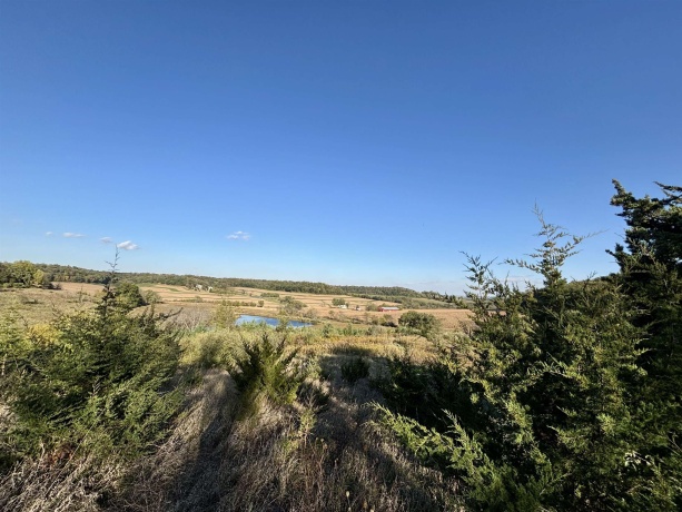 57.83 Acres Menzemer, ELIZABETH, Illinois 61028, ,Land,For Sale,Menzemer,202506330