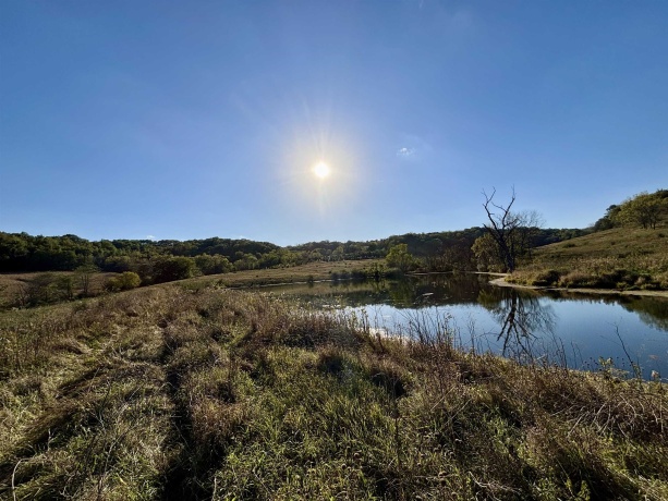 57.83 Acres Menzemer, ELIZABETH, Illinois 61028, ,Land,For Sale,Menzemer,202506330