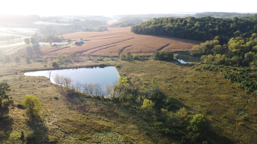 57.83 Acres Menzemer, ELIZABETH, Illinois 61028, ,Land,For Sale,Menzemer,202506330