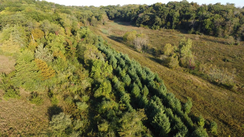 57.83 Acres Menzemer, ELIZABETH, Illinois 61028, ,Land,For Sale,Menzemer,202506330