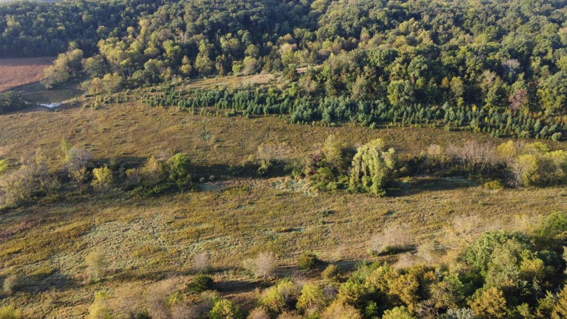 57.83 Acres Menzemer, ELIZABETH, Illinois 61028, ,Land,For Sale,Menzemer,202506330