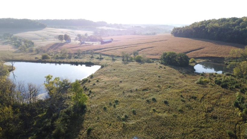 57.83 Acres Menzemer, ELIZABETH, Illinois 61028, ,Land,For Sale,Menzemer,202506330