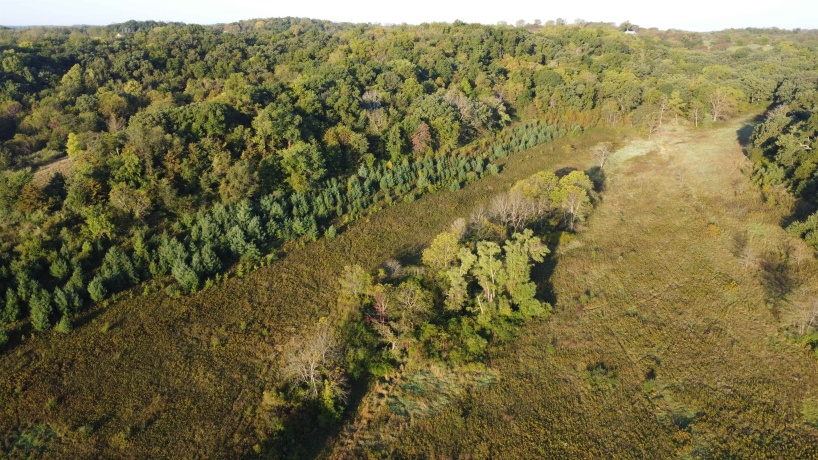 57.83 Acres Menzemer, ELIZABETH, Illinois 61028, ,Land,For Sale,Menzemer,202506330