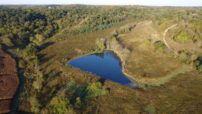 57.83 Acres Menzemer, ELIZABETH, Illinois 61028, ,Land,For Sale,Menzemer,202506330