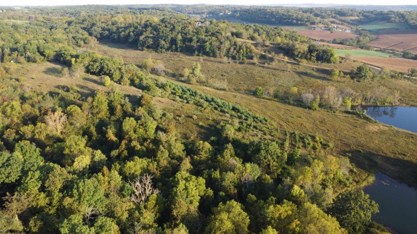 57.83 Acres Menzemer, ELIZABETH, Illinois 61028, ,Land,For Sale,Menzemer,202506330