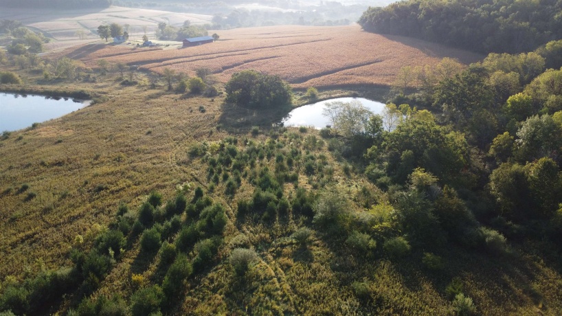 57.83 Acres Menzemer, ELIZABETH, Illinois 61028, ,Land,For Sale,Menzemer,202506330