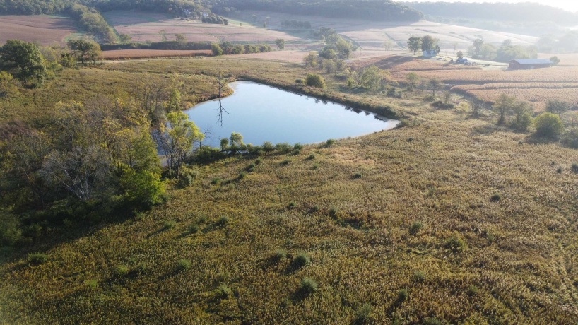 57.83 Acres Menzemer, ELIZABETH, Illinois 61028, ,Land,For Sale,Menzemer,202506330