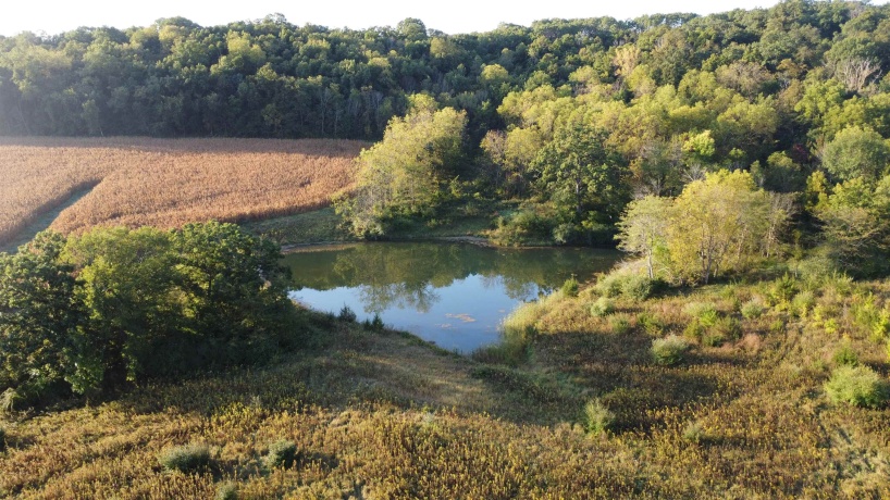 57.83 Acres Menzemer, ELIZABETH, Illinois 61028, ,Land,For Sale,Menzemer,202506330